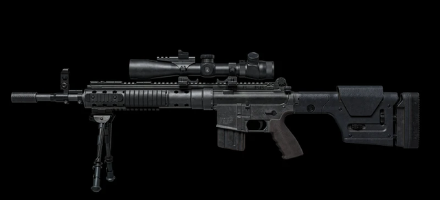 rifle-reverse-profile